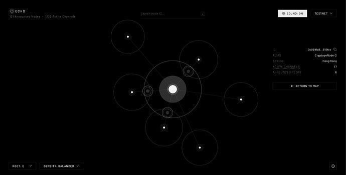 echo-node-view