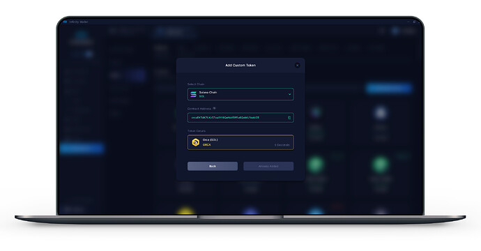 Infinity Wallet - custom token importing