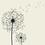 compasses